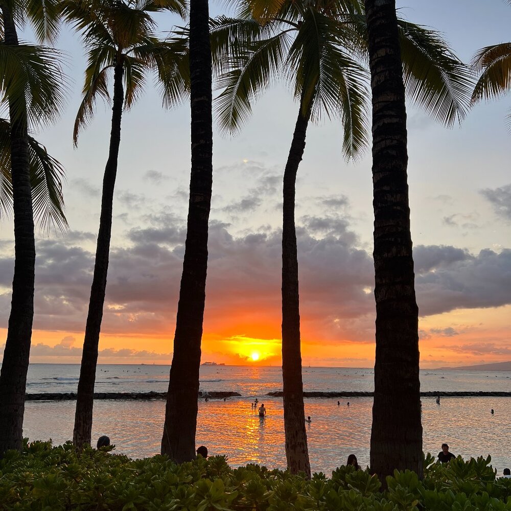 Meet your Posher, Renee